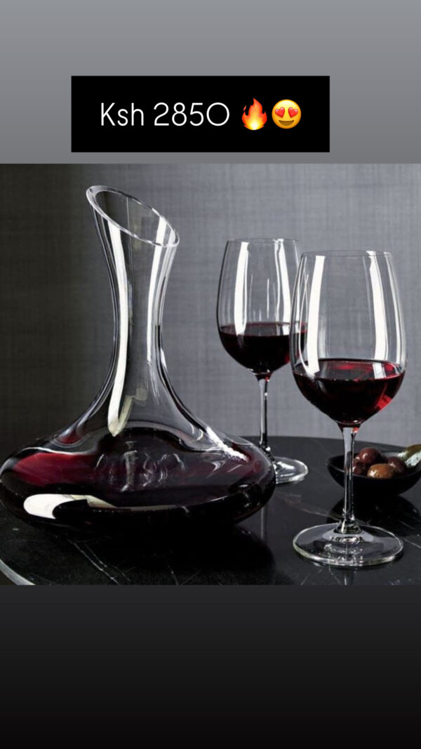 Wine decanter